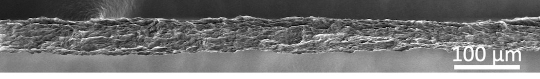 在掃描電子顯微鏡下可見的耐堅固的硝酸硼納米管