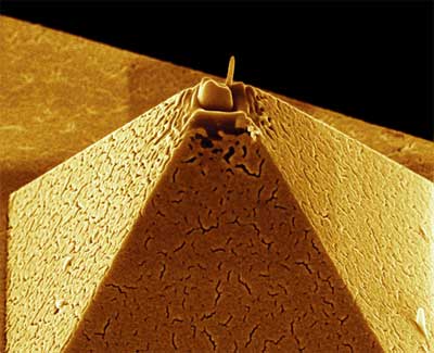 金金字塔 - 原子力顯微鏡的尖端