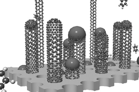 CVD過程中碳納米管在催化劑顆粒上生長的示意圖